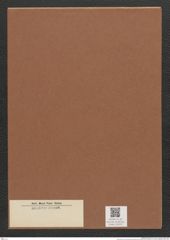 Diatomeae indet. Zeichnungen Sammlung Grunow Mappe 03476 (Herbarium_W_Grunow_drawings_Folder_03476)